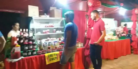 Exitoso primer fin de semana de la “Expo Frutilla 2022” en Areguá