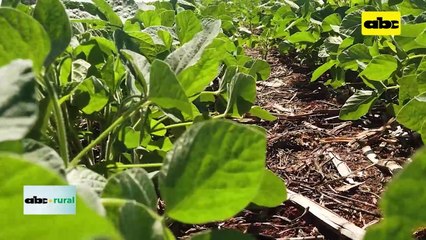 Encuentro Nacional de Siembra directa 2022