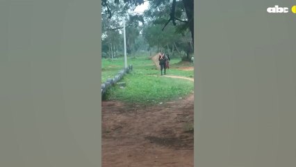 Momento en que la policía detenía a Karina Vanesa Narváez, alias Vanesa`i