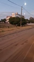 La aparición de un puma y sus crías sorprende a localidad costera argentina