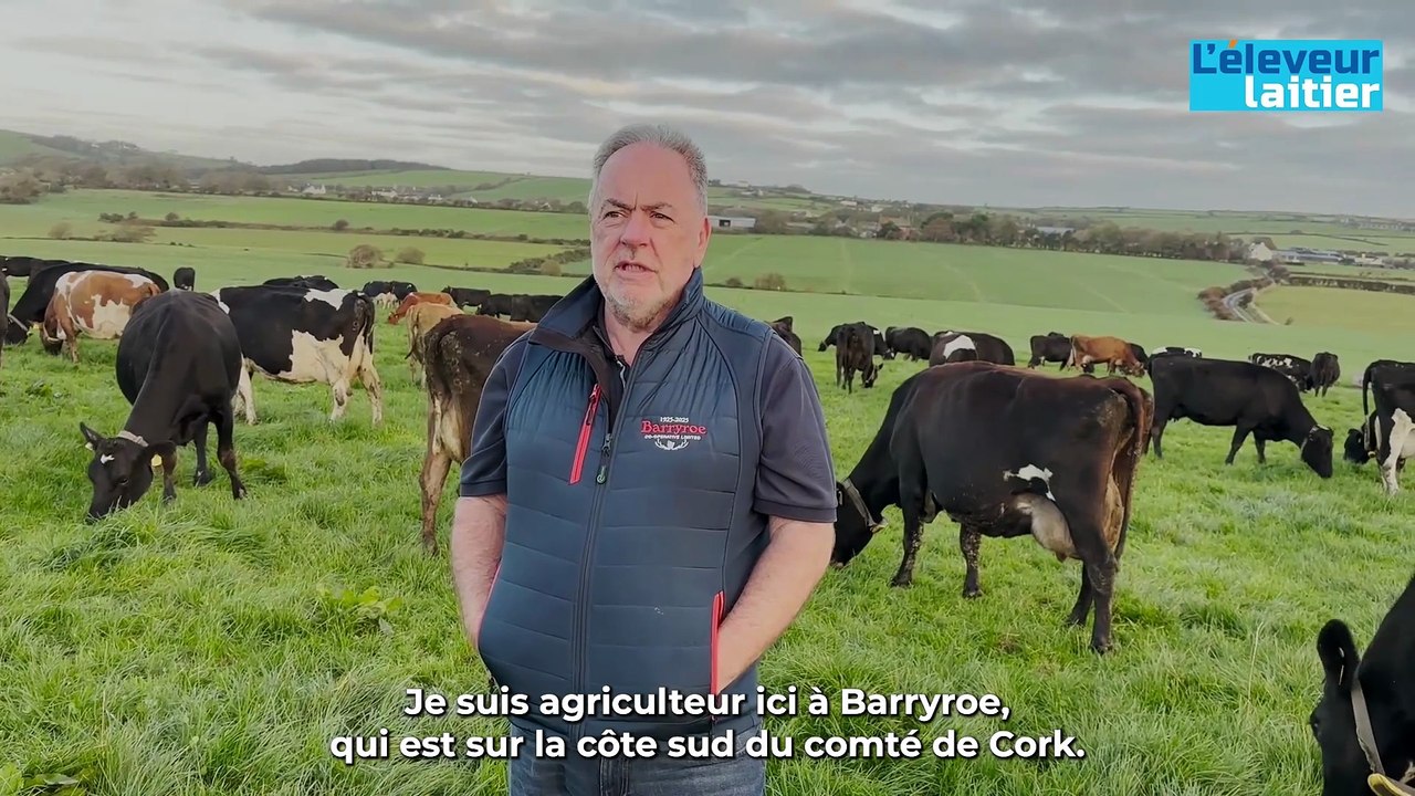 En Irlande, John et Jerome O’Brien sont des convaincus du pâturage