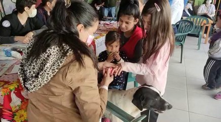 Buquilla, El Perro Que No Te Abandona Ni En Las Consultas Médicas