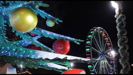 Senza albero non è Natale: presenza fissa nel 92% delle case italiane