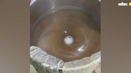 Rompiendo tabúes. 41 Mujeres unidas por la cerveza