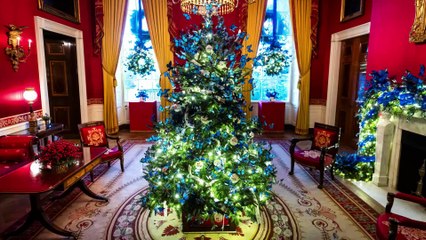 Natale 2025 secondo Melania Trump: 10mila farfalle blu invadono la Casa Bianca