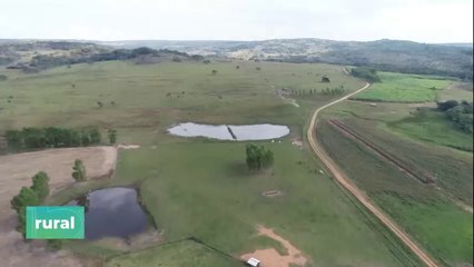 Pulverización aérea para control de malezas en el Chaco