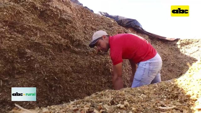 Aumento de producción de leche con microorganismos eficaces
