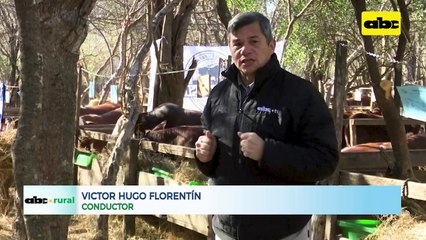 Uso de maíz grano entero y concentrado para engorde de ganado