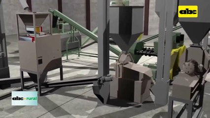 Industria aceitera en su peor momento en Paraguay