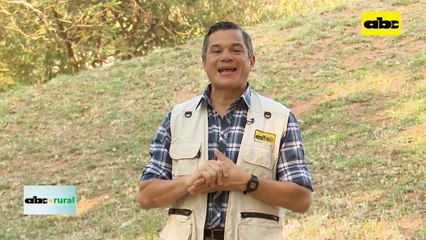 Expo Trébol 2022, ganadería, agricultura y más