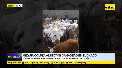 Sequía golpea al sector ganadero en el Chaco