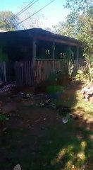 Encapuchados atacan a una familia en zona de conflicto de tierras en Alto Paraná