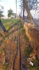 Jóvenes subieron a tanques de Petropar