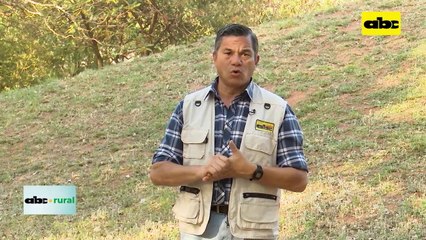 Producción de tomate y que tecnología aplicar al inicio de una producción