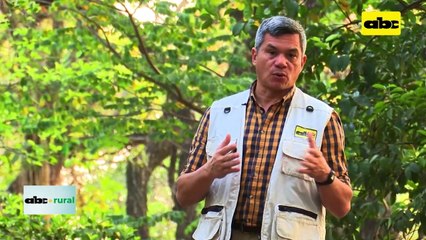 Manejo de barbecho y malas hierbas apuntando a la soja de zafra