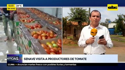SENAVE visita a productores de tomates
