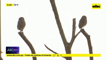 Costanera estará cerrada por actividades