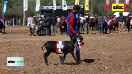Avance de la producción agrícola en el Chaco Paraguayo