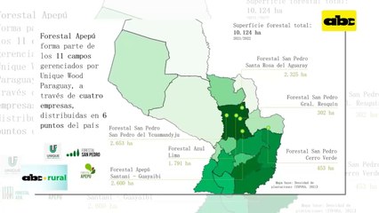 Eucalipto y sus ventajas económicas para el producto