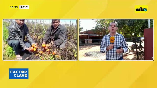 Tomateros preocupados en Caaguazú por perdidas de kilos de tomates a causa del contrabando