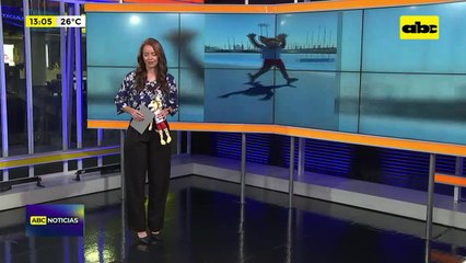 El gato montés de Odesur