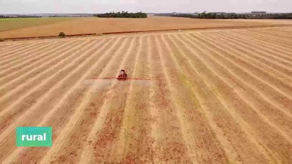 Herbicidas y fungicidas son presentados por Corteva Agriscience