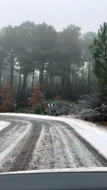 Carretera con nieve