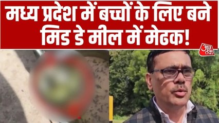 मध्य प्रदेश: स्कूल के मिड डे मील में निकला मरा हुआ मेढक, देखिए Video