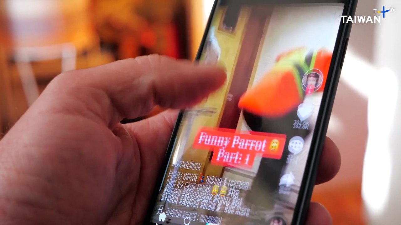 Australia's Social Media Ban for Minors Sparks Debate