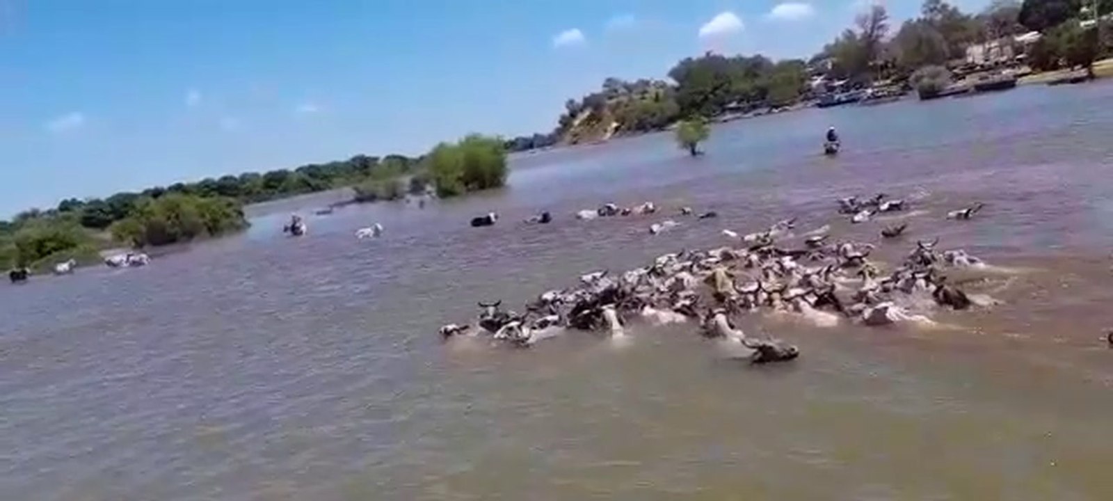 Pequeños productores fueron sorprendidos por la crecida del río Paraná