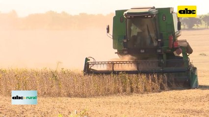 Precio de soja podría caer, debido a gran producción