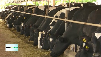 Uso de microorganismos eficaces en ensilado para ganado y resultados