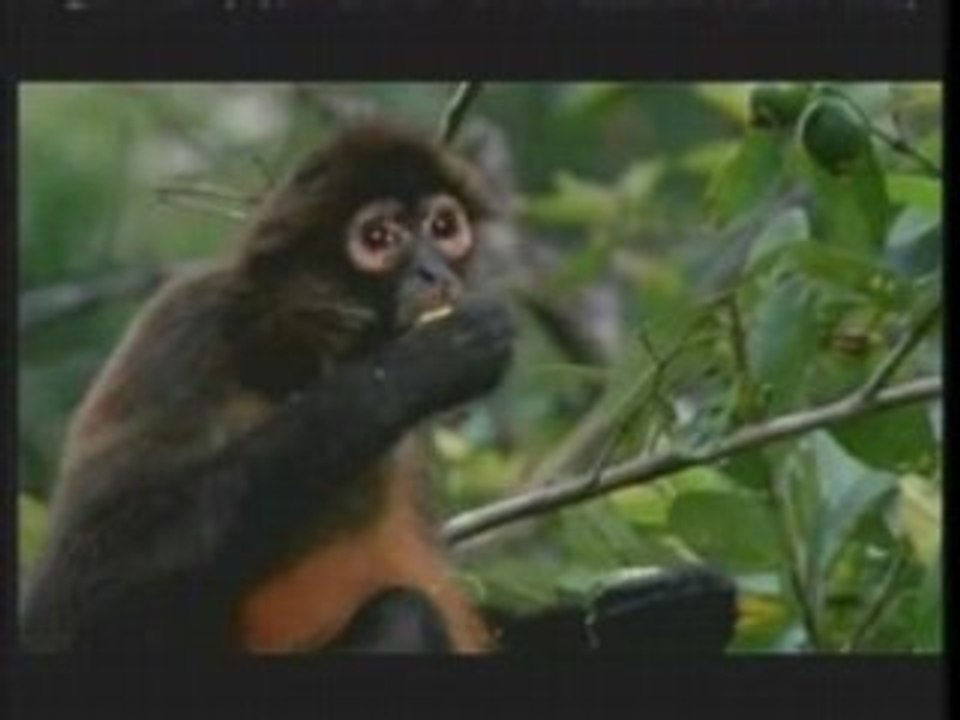 DJTC Techno Trance Remix 25 - Awesome HQ Full Screen