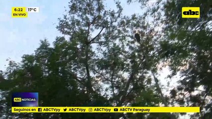Calles erosionadas en Lambaré