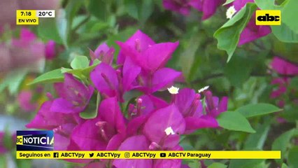 Obras siguen inconclusas