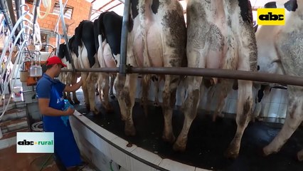 Paraguay organizará congreso lechero para jóvenes