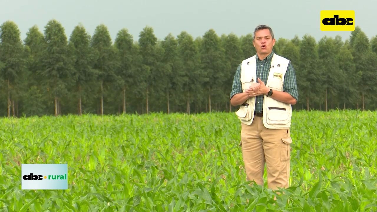Empezó con 8 vacas lecheras, hoy tiene 120