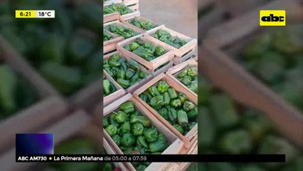 Encuentran camión abandonado con cargas