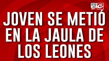 Joven ingresó a la jaula de los leones, fua atacado y murió en el acto