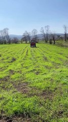Sabah 6’da Köyde ŞOK Anlar! Kimse Bu Anları Görmüyor 🚜🌄
