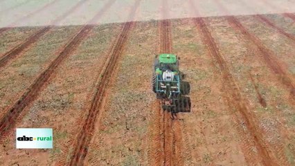 Unique Wood y su acción dentro de la producción forestal de Paraguay