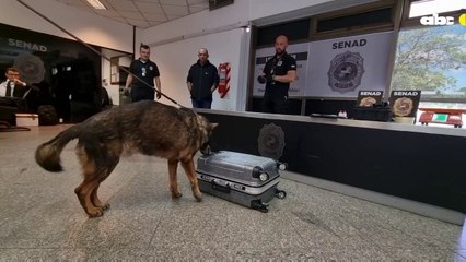 Detectan cocaína en maleta de pasajero que iba a Europa