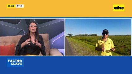 Preocupa daño ambiental en Villa Oliva