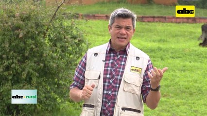 Situación agrícola y de suelos en Colonia Volendam