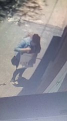 Vídeo Censista Completa Sola El Formulario Sin Haber Censado A Los Habitantes De Una Vivienda