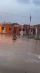 Inundación en el Barrio San Blas del MUVH