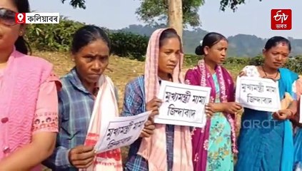 আমাক মাটিৰ পট্টা দিয়াত বিৰোধ কৰিবলৈ অখিল গগৈ কোন ? বাগিচাত জ্বলিল ৰাইজৰ দলৰ সভাপতিৰ পুত্তলিকা