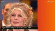 Brigitte Bardot propriétaire d'un bien dont elle ne peut se séparer, trois stars ont pourtant négocier avec elle dans le but de l'acheter