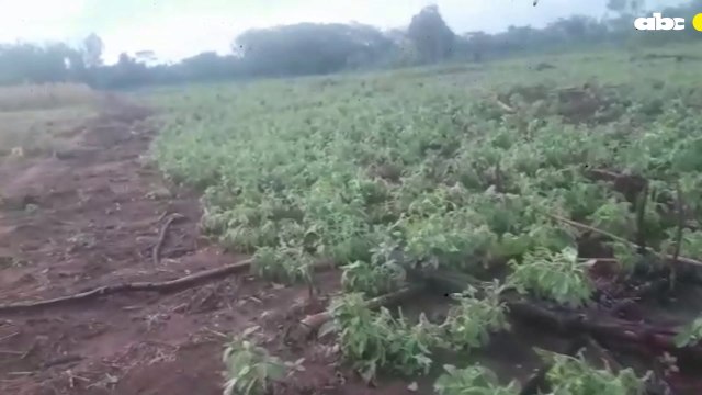 Granizada Destruyó Varias Hectáreas De Cultivos Agrícolas En Liberación