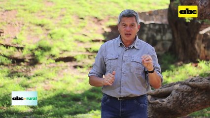 Momento actual de la soja, y visión sobre tema CO2 y Metano